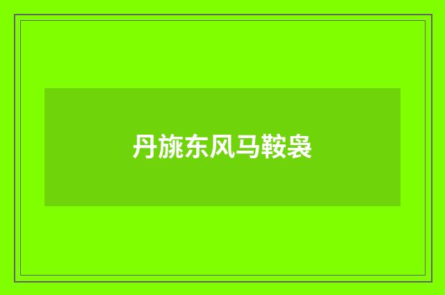 丹旐东风马鞍袅