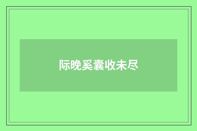 际晚奚囊收未尽