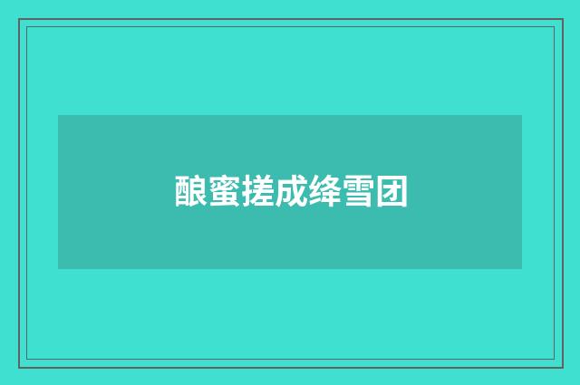 酿蜜搓成绛雪团
