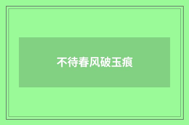 不待春风破玉痕