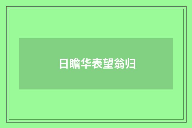 日瞻华表望翁归