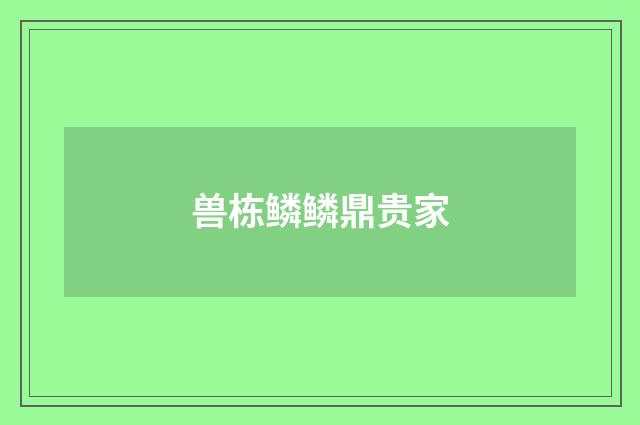 兽栋鳞鳞鼎贵家