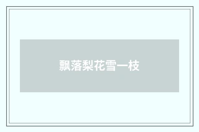 飘落梨花雪一枝