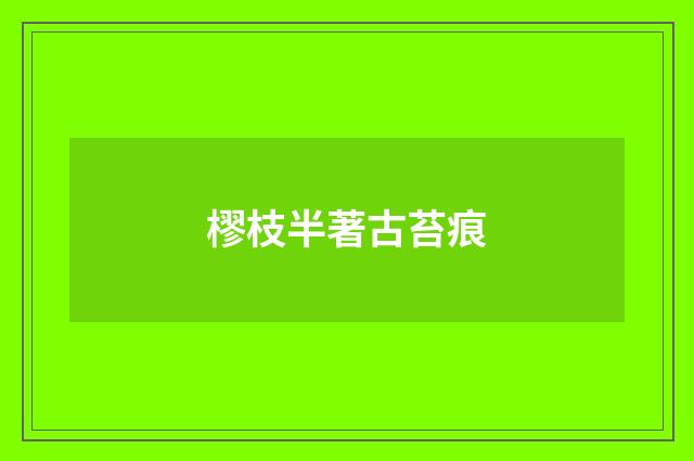 樛枝半著古苔痕