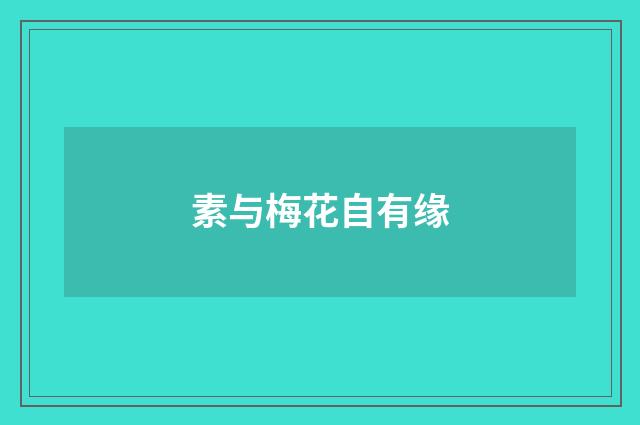 素与梅花自有缘