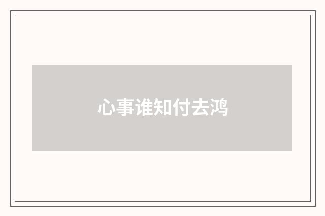 心事谁知付去鸿