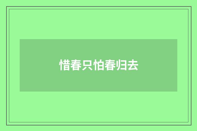 惜春只怕春归去