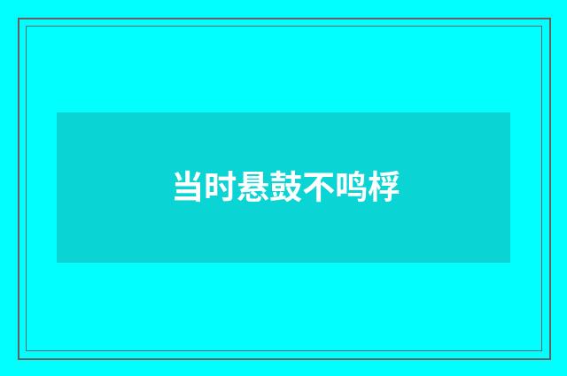 当时悬鼓不鸣桴