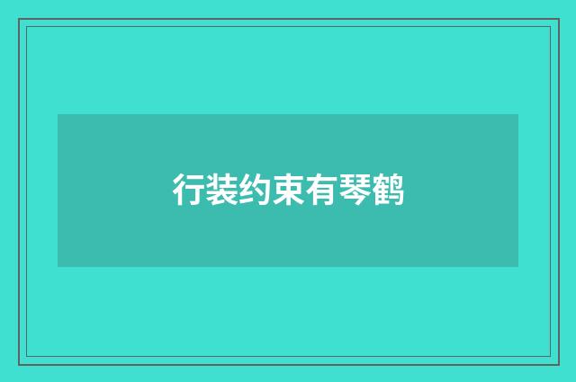 行装约束有琴鹤
