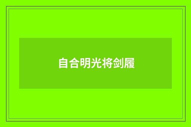 自合明光将剑履