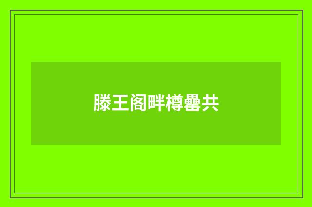 滕王阁畔樽罍共