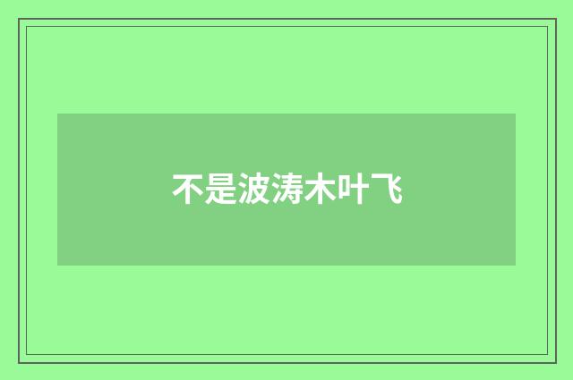 不是波涛木叶飞