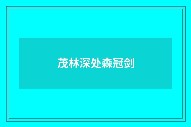 茂林深处森冠剑