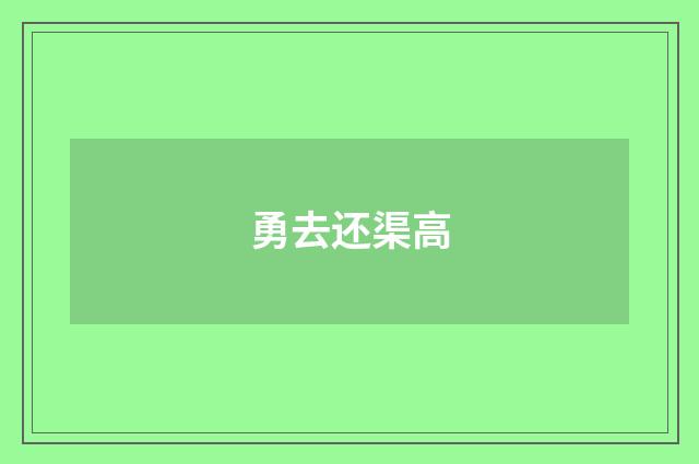 勇去还渠高