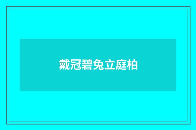 戴冠碧兔立庭柏