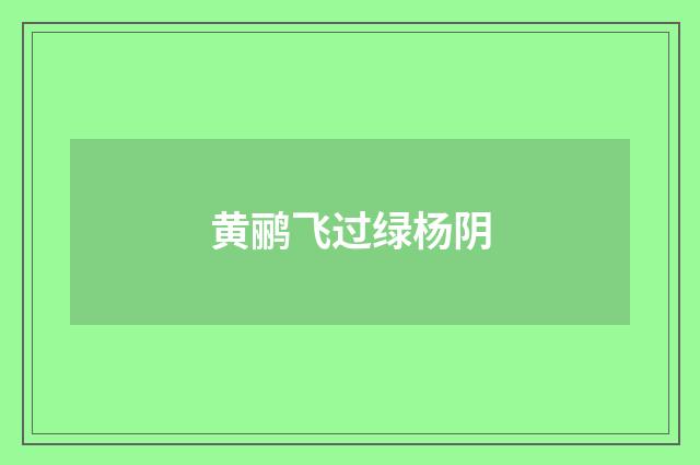 黄鹂飞过绿杨阴