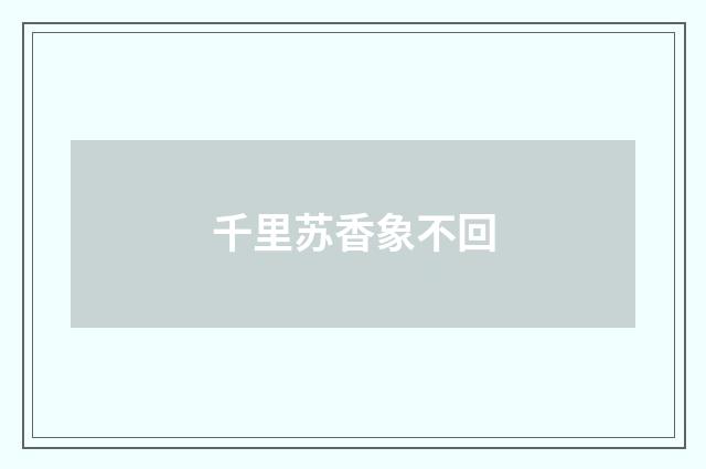 千里苏香象不回