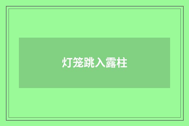 灯笼跳入露柱