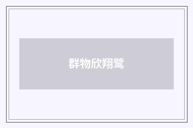 群物欣翔鹭