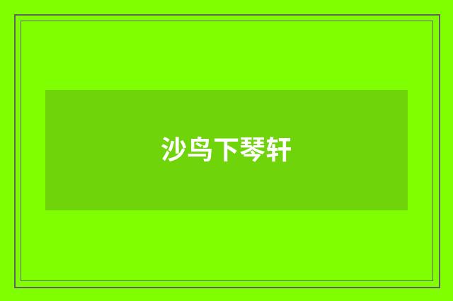 沙鸟下琴轩