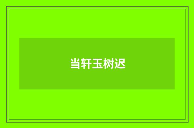 当轩玉树迟