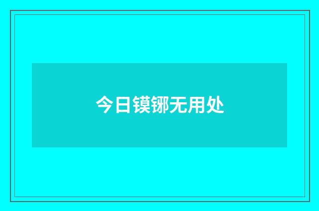 今日镆铘无用处