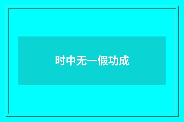 时中无一假功成