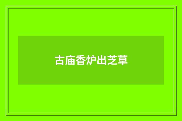 古庙香炉出芝草