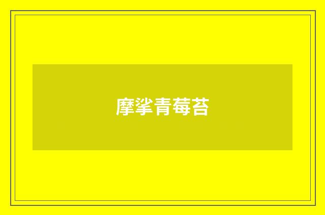 摩挲青莓苔