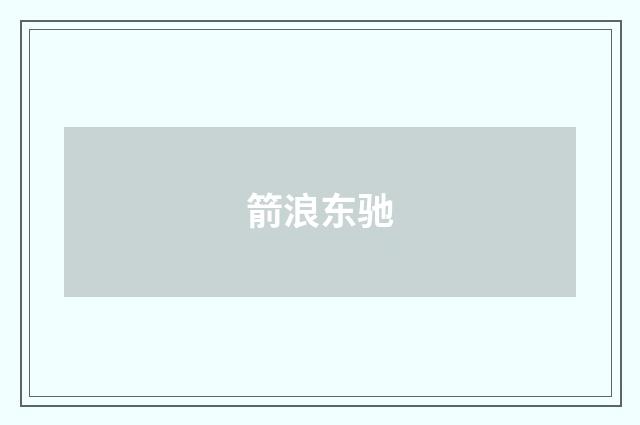 箭浪东驰