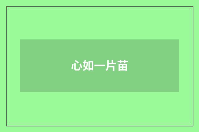 心如一片苗