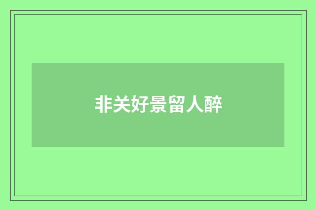 非关好景留人醉