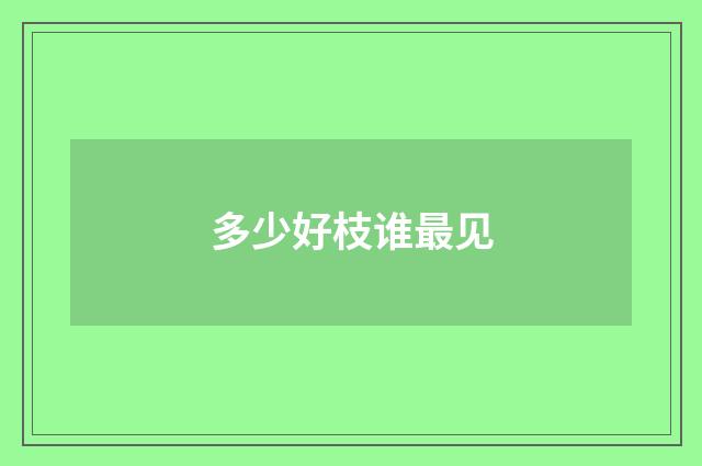 多少好枝谁最见