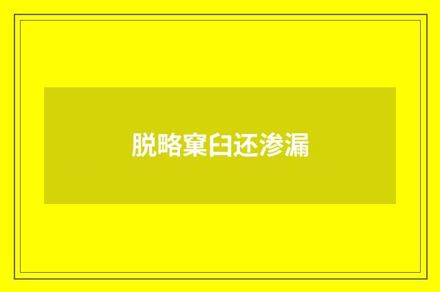 脱略窠臼还渗漏
