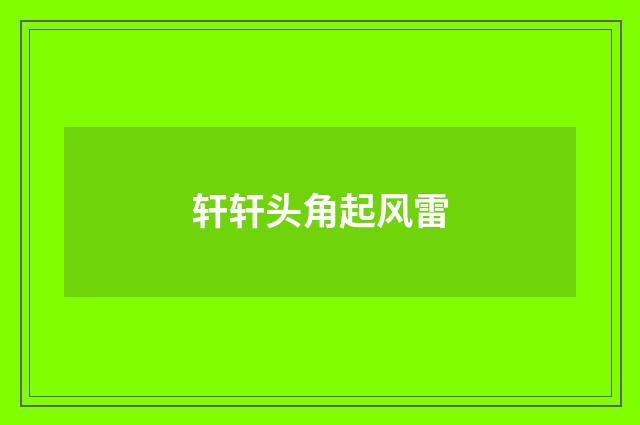 轩轩头角起风雷