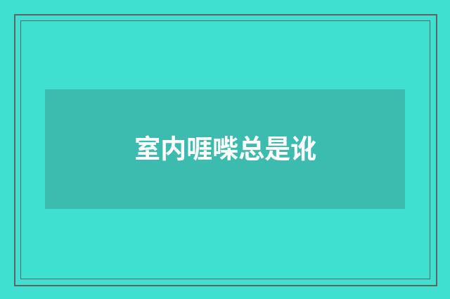 室内啀喍总是讹