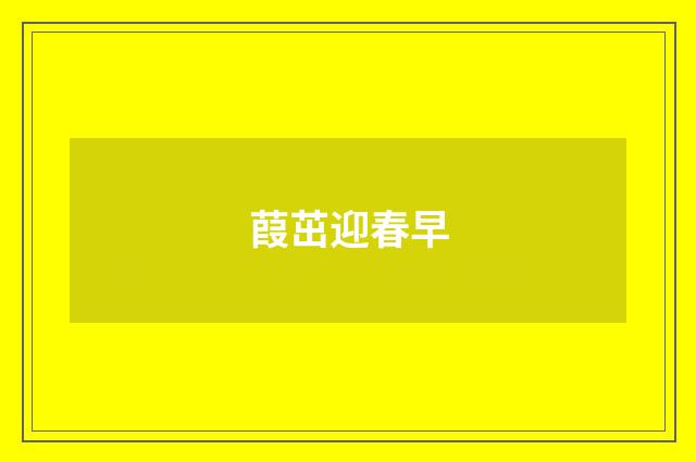 葭茁迎春早