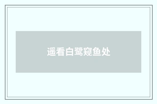 遥看白鹭窥鱼处