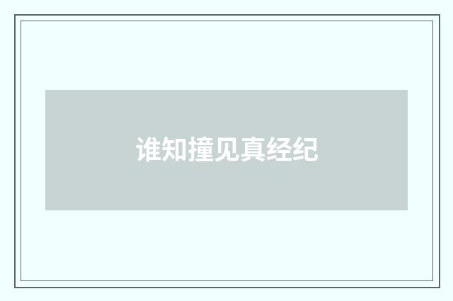 谁知撞见真经纪