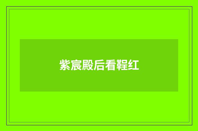 紫宸殿后看鞓红
