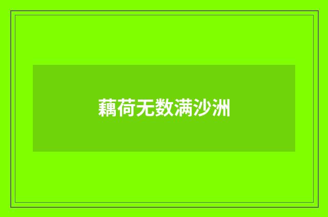 藕荷无数满沙洲