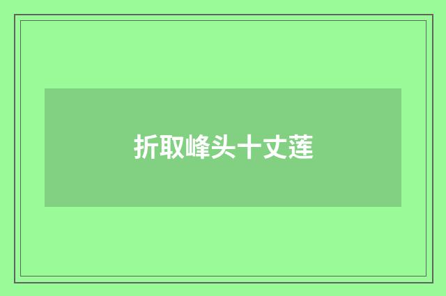 折取峰头十丈莲