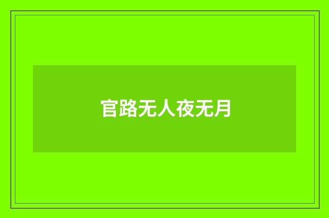 官路无人夜无月
