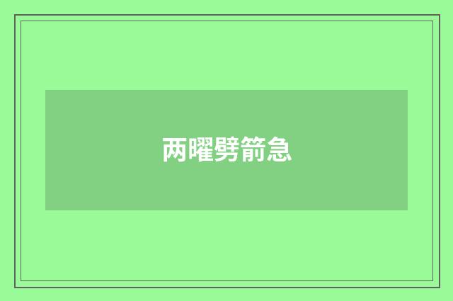两曜劈箭急