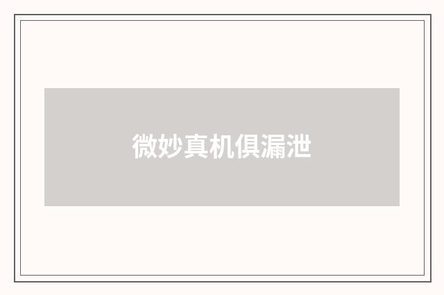 微妙真机俱漏泄