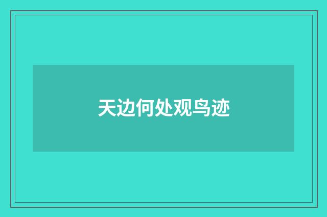 天边何处观鸟迹