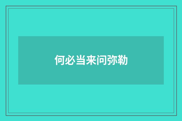何必当来问弥勒