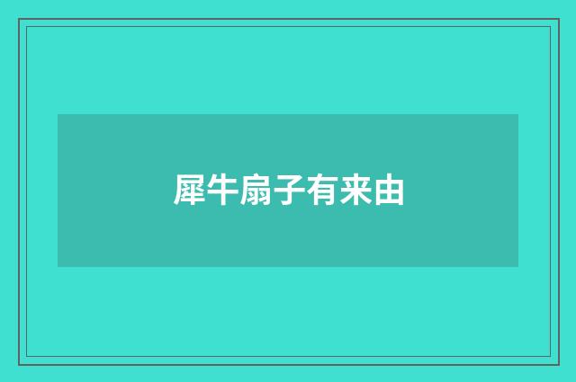犀牛扇子有来由