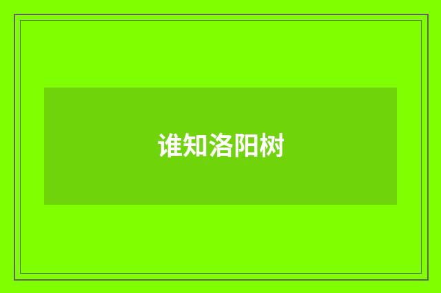 谁知洛阳树