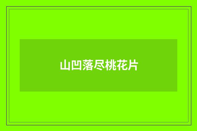 山凹落尽桃花片